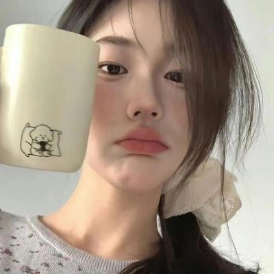 杜丝先生